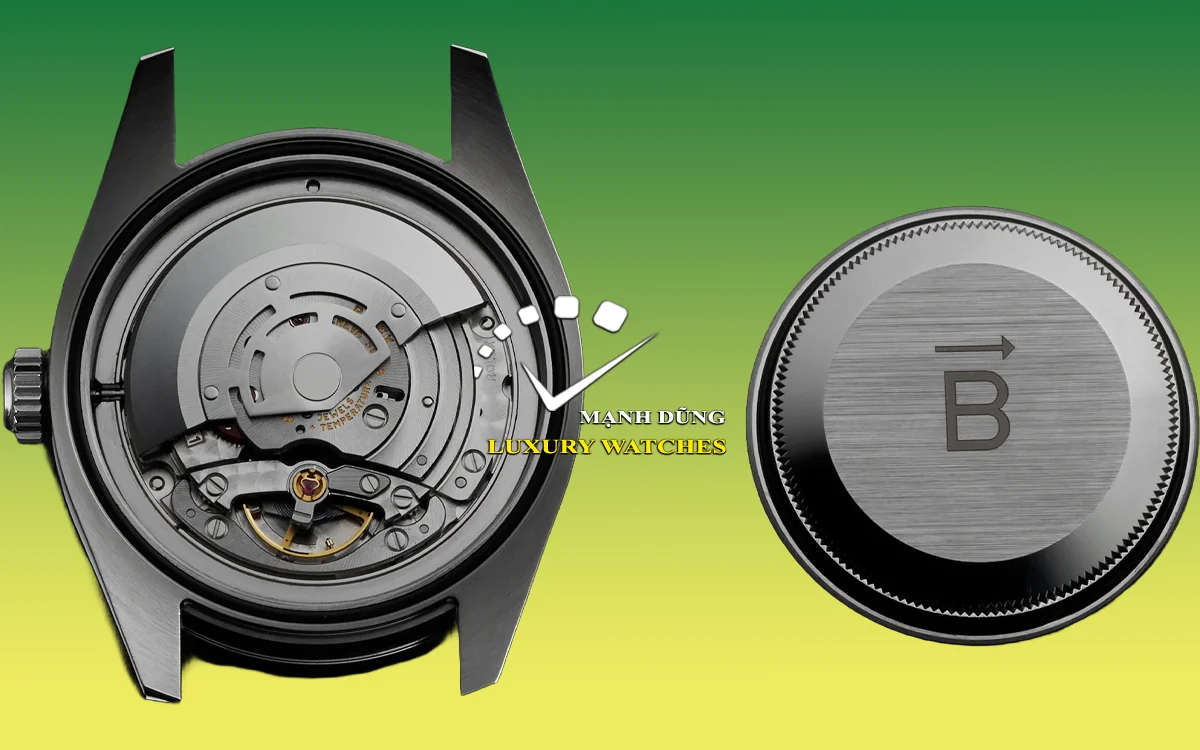 Lồng Faraday Bên Trong Vỏ Oyster: Cơ Chế Bảo Vệ Cốt Lõi